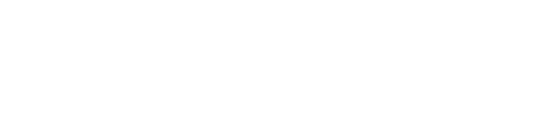 Partner Head