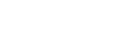 Studio Head