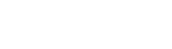 Team Head